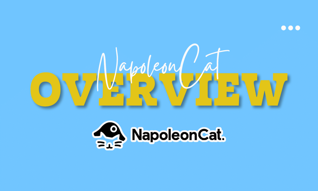 NapoleonCat: Automated Apps | Review Softlist.io