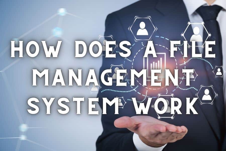 How Does a File Management System Work?- What to Know