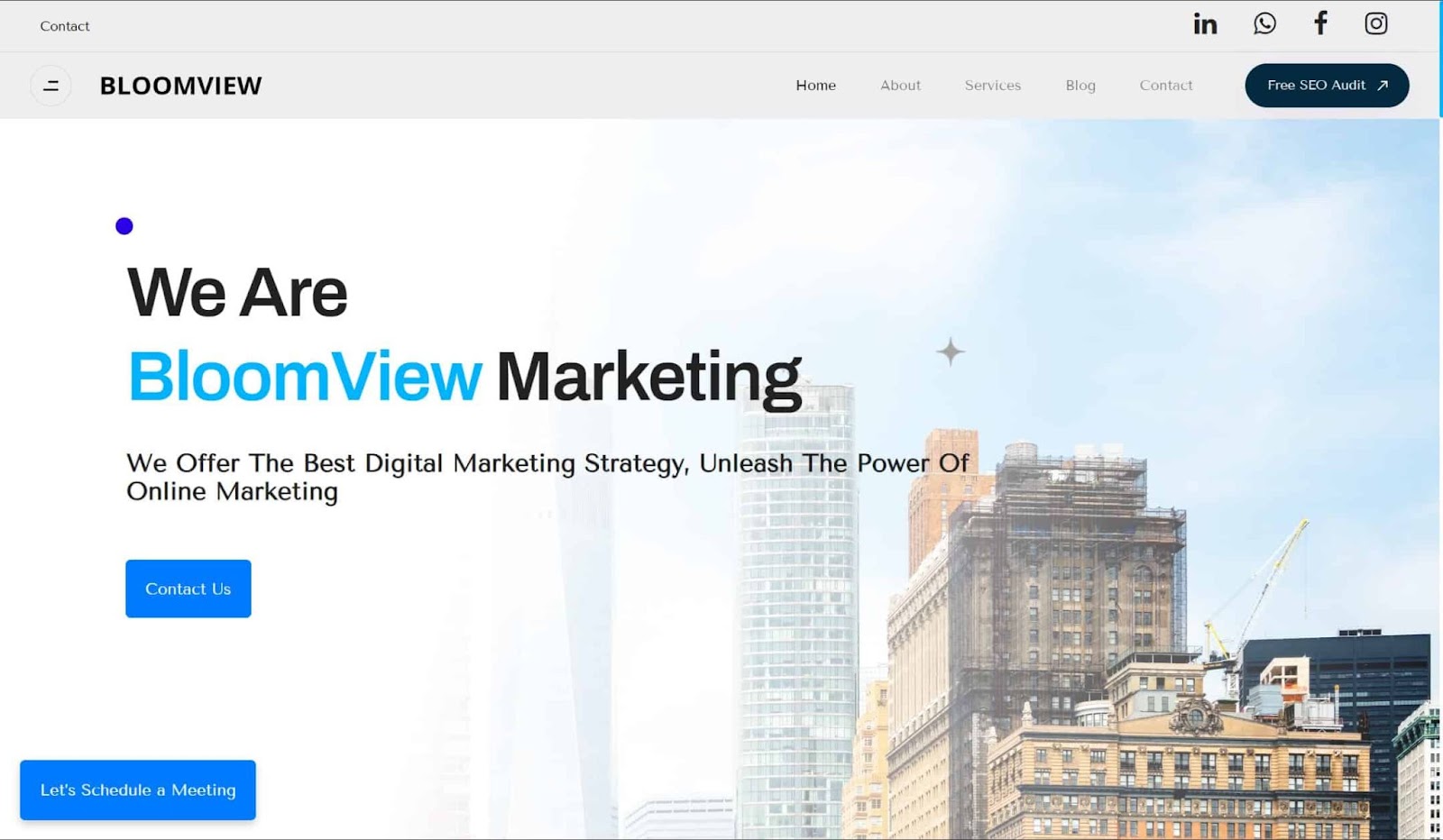 Screenshot of BloomView marketing website