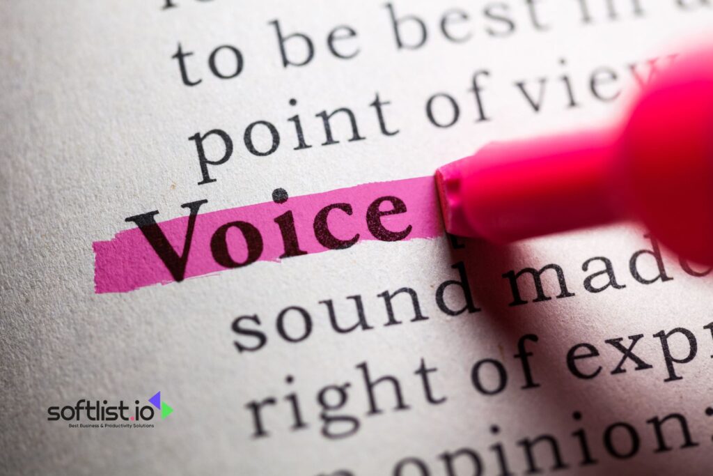 How to Make Voicemod Not Sound Staticy? 5 Ways to Fix with Voicemod Help Center Softlist.io